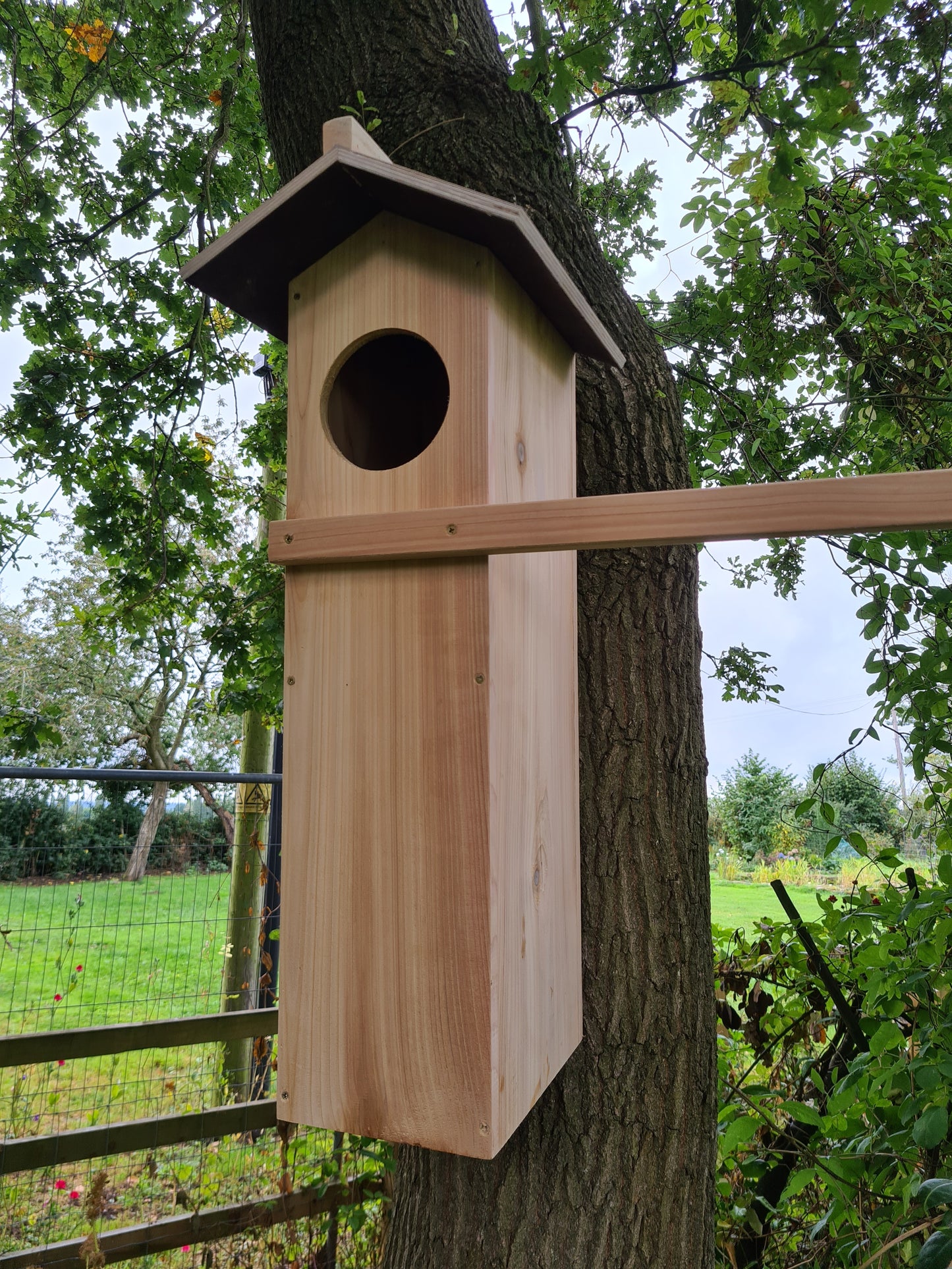 Tawny Owl nest box