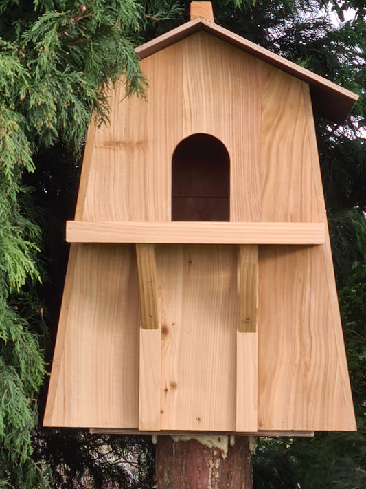 Barn Owl nest box