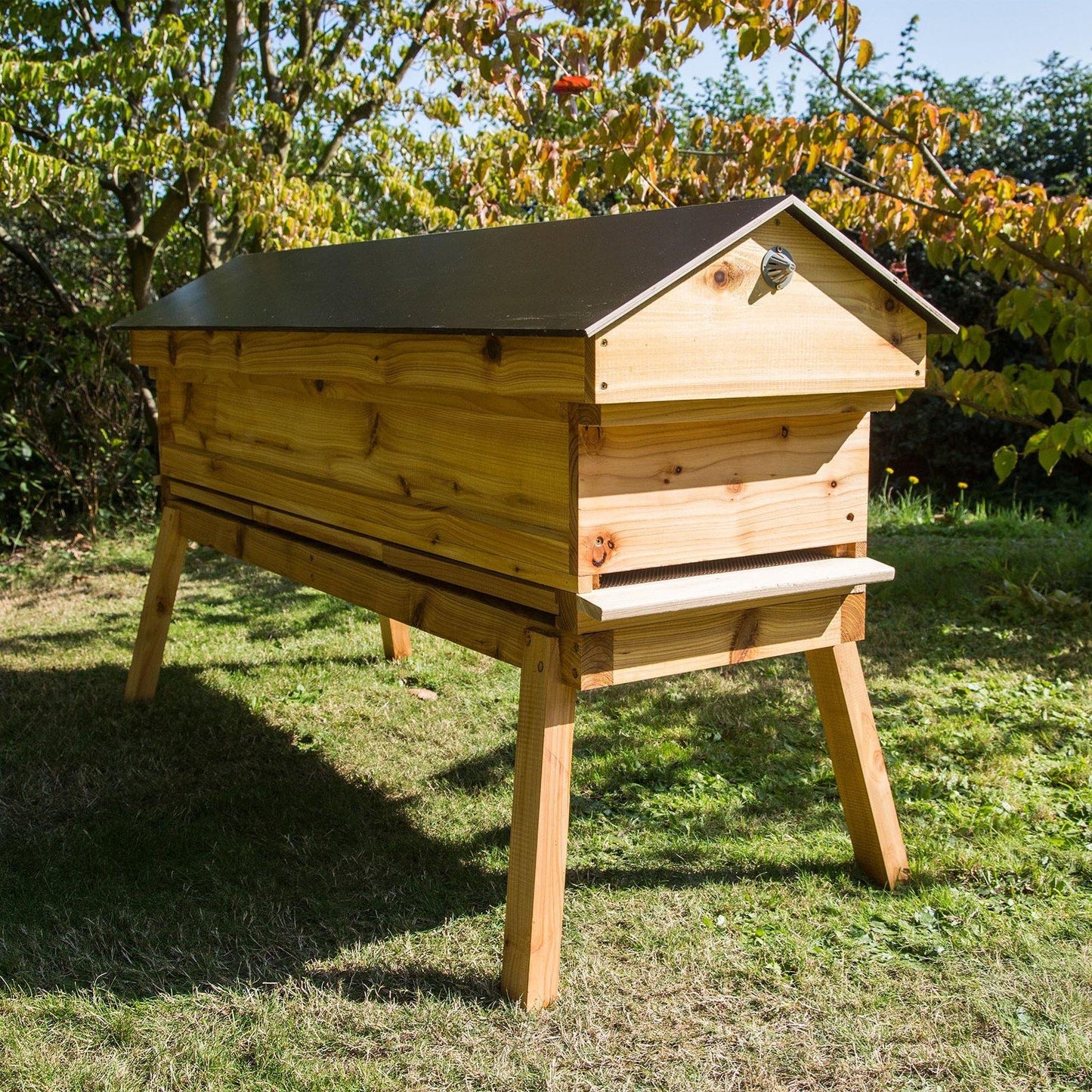 Long Hive - Hyde Hives 2020