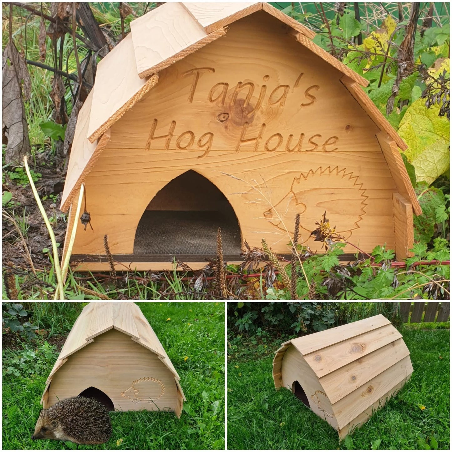 Hedgehog House