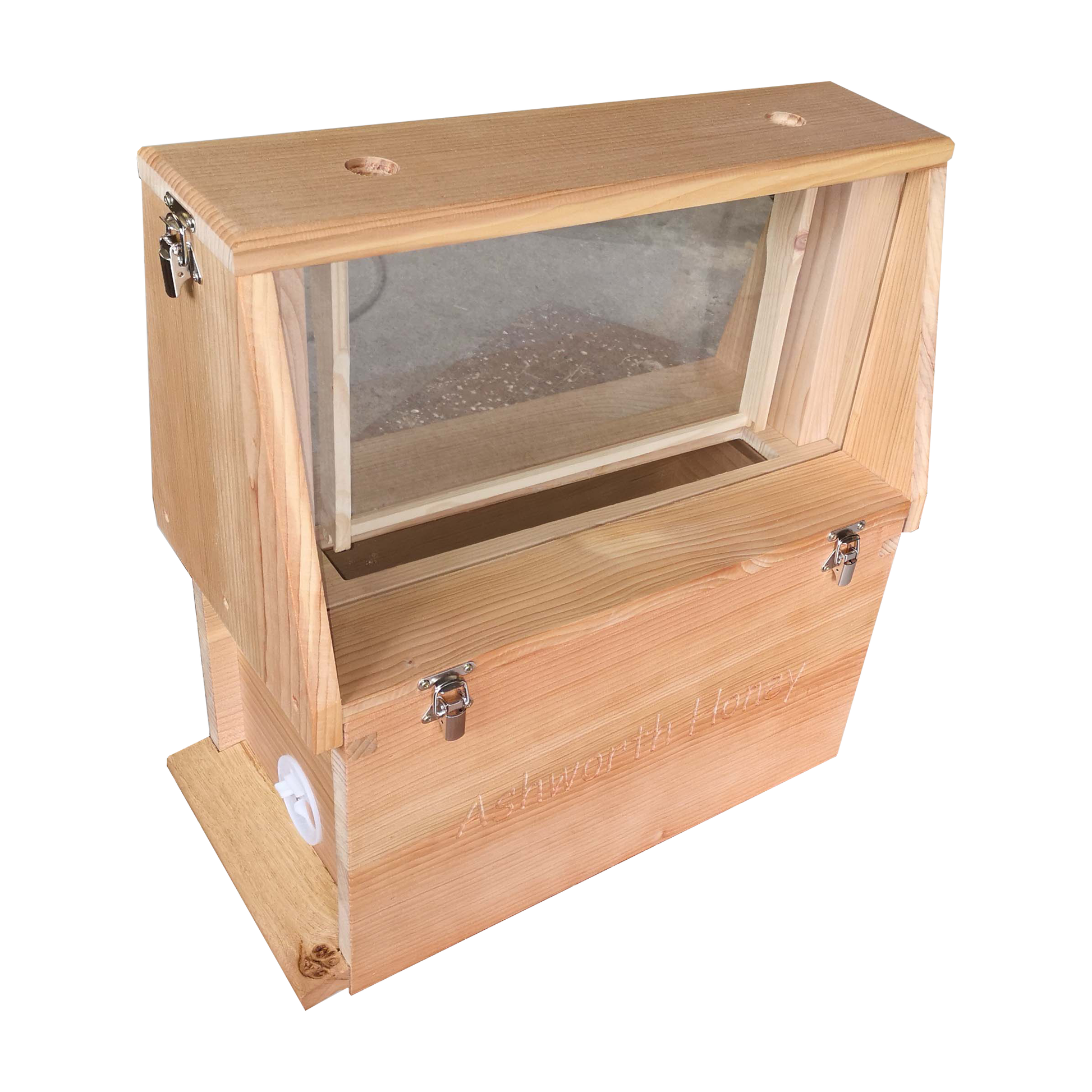 Observation Nuc - Hyde Hives